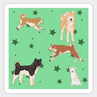 Mint Akitas and Stars Sticker